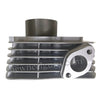 Genuine Engine Block Kit for LML Freedom | Bore Piston or Cylinder Piston