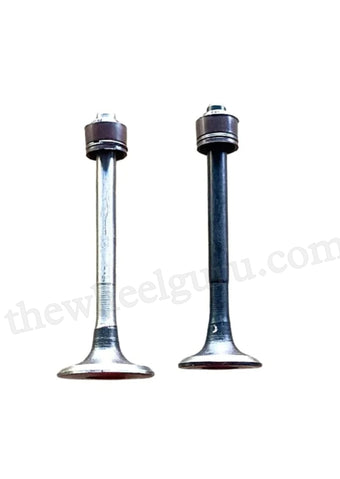 Engine Valve Set