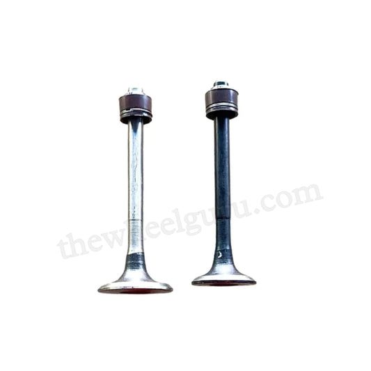 Engine Valve Set for Hero CD 100 | CD 100 SS | Passion | Plus | Pro | Splendor | Plus | Sleek | CD Deluxe | Splendor NXG | 2 Valves with seal