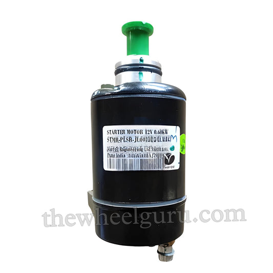 Self Starter Motor (For Bajaj Pulsar 200 NS)
